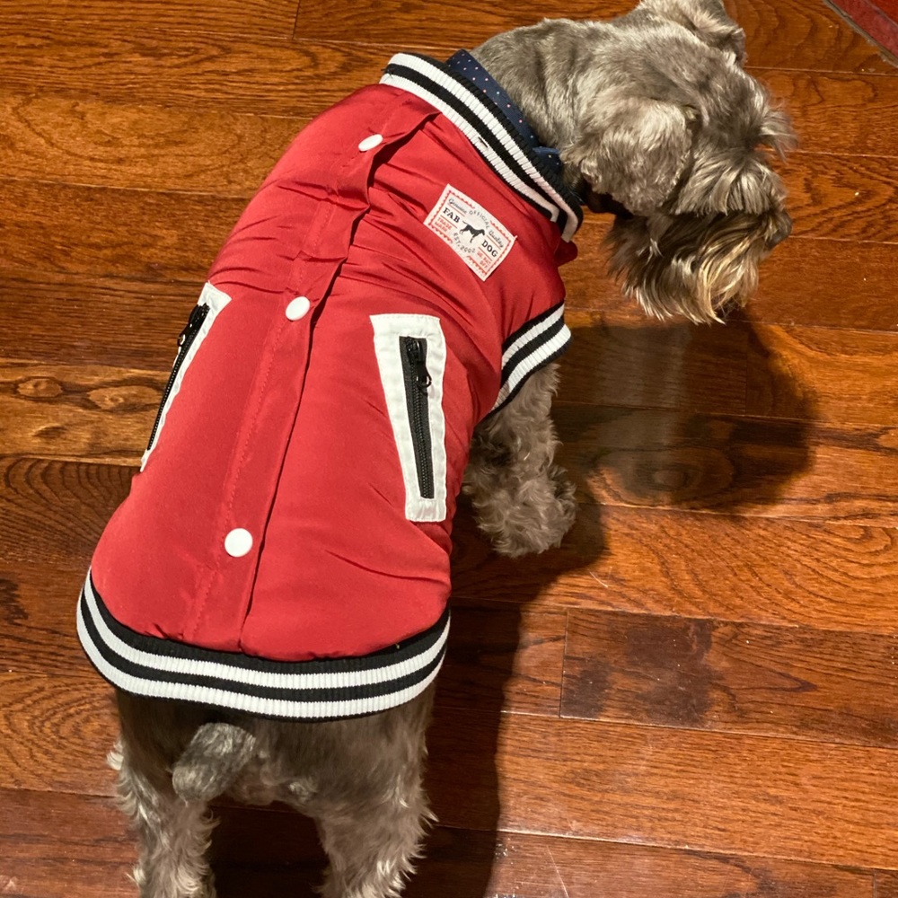 Dog Varsity Jacket - Picture 10 of 13